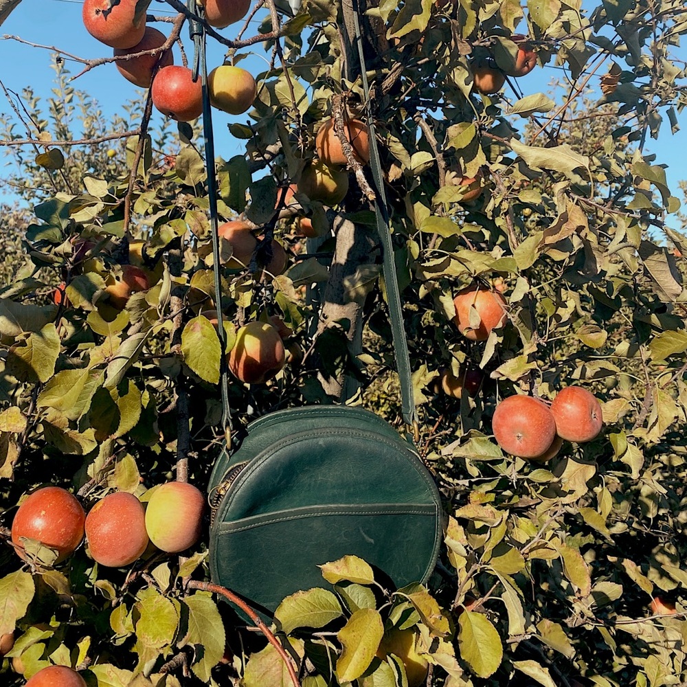 Vintage Coach Green Canteen Bag